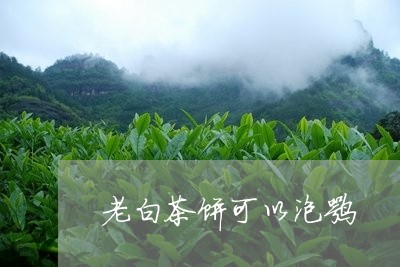 老白茶饼可以泡嘛/2023073058815