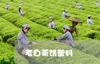 老白茶饼塑料/2023052398583