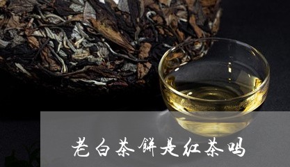 老白茶饼是红茶吗/2023070819381