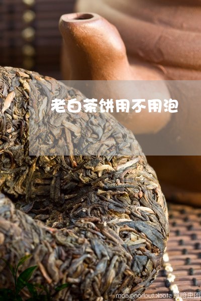 老白茶饼用不用泡/2023073086582