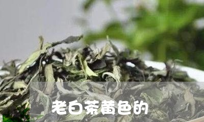 老白茶黄色的/2023052443827