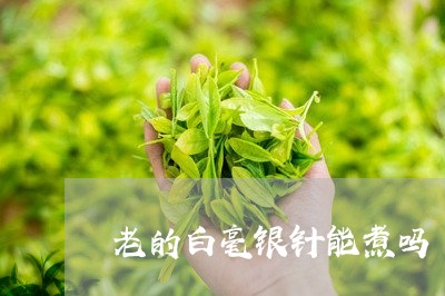 老的白毫银针能煮吗/2023120647371