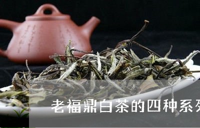 老福鼎白茶的四种系列介绍/2023111554828