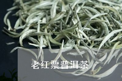 老红票普洱茶/2023102505239