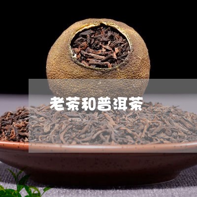 老茶和普洱茶/2023042813865