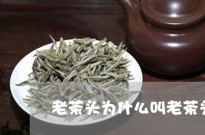 老茶头为什么叫老茶头/2023060969302