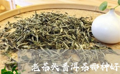 老茶头普洱茶哪种好喝/2023100752804