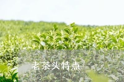 老茶头特点/2023090214050