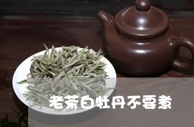 老茶白牡丹不要煮/2023090687460