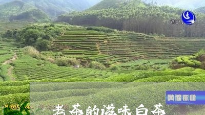 老茶的滋味白茶/2023060918370