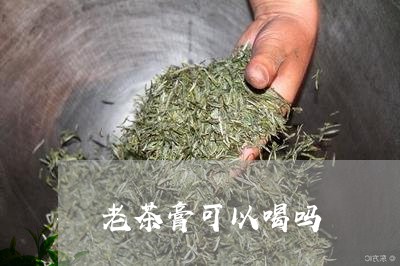 老茶膏可以喝吗/2023042975120