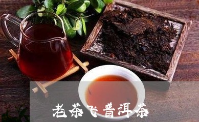 老茶飞普洱茶/2023042847316