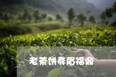 老茶饼寿眉福鼎/2023112484946