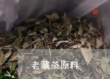 老藏茶原料/2023122048403