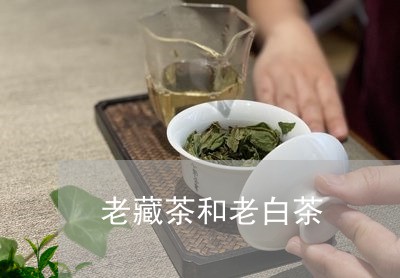 老藏茶和老白茶/2023060926171