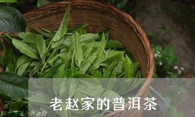 老赵家的普洱茶/2023101699482