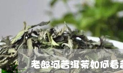 老郎河普洱茶如何看普洱茶饼面/2023053043827