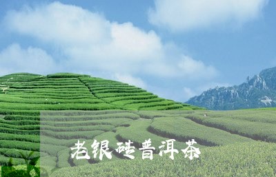 老银砖普洱茶/2023042993843