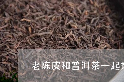 老陈皮和普洱茶一起煮吗/2023082530503