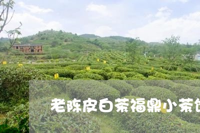 老陈皮白茶福鼎小茶饼/2023120643158