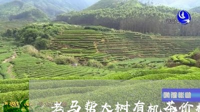 老马帮大树有机茶价格/2023092170492