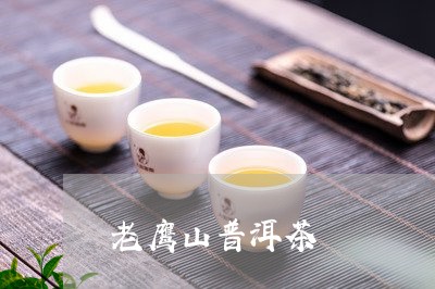 老鹰山普洱茶/2023042833461