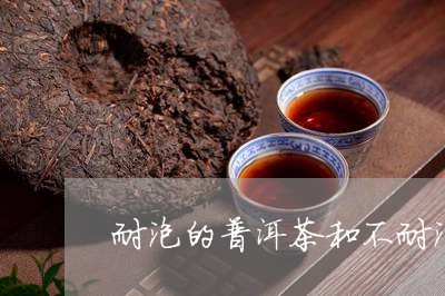 耐泡的普洱茶和不耐泡的茶哪个好/2023110865040