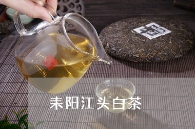 耒阳江头白茶/2023052495837