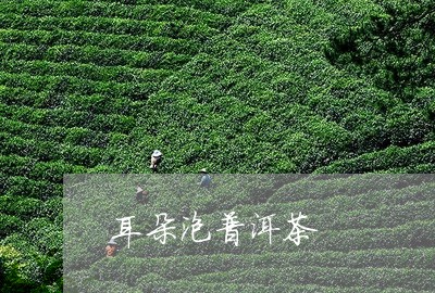 耳朵泡普洱茶/2023042801049