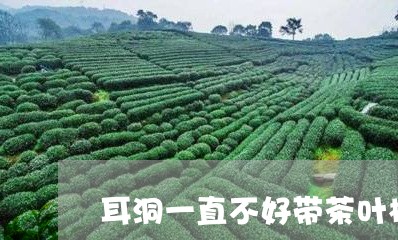 耳洞一直不好带茶叶棒可以吗/2023052690280