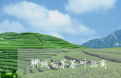 聊城白茶茶叶招商/2023071000582