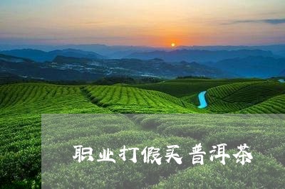 职业打假买普洱茶/2023101685259