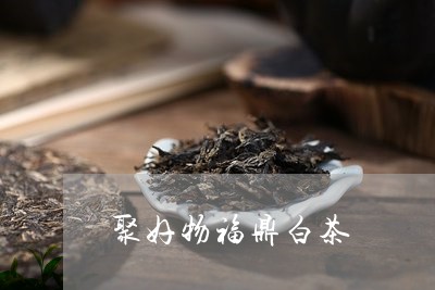 聚好物福鼎白茶/2023112573836