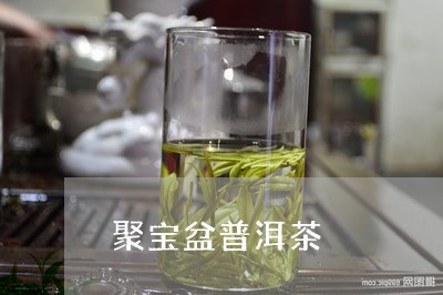 聚宝盆普洱茶/2023042813099