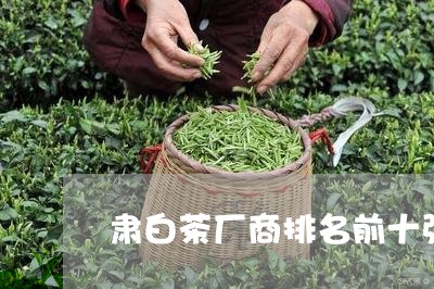 肃白茶厂商排名前十强/2023102743037