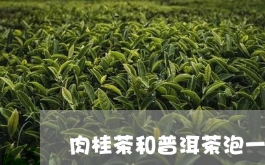 肉桂茶和普洱茶泡一起/2023062239492