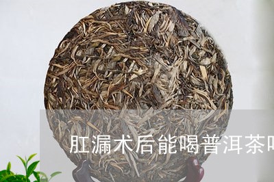 肛漏术后能喝普洱茶吗/2023093004038