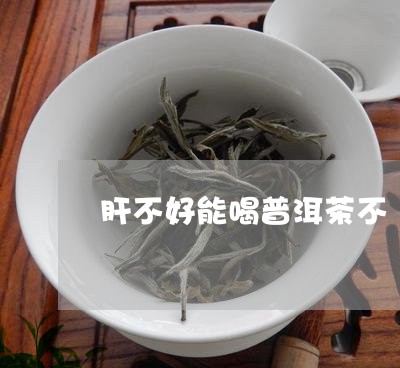 肝不好能喝普洱茶不/2023082635050