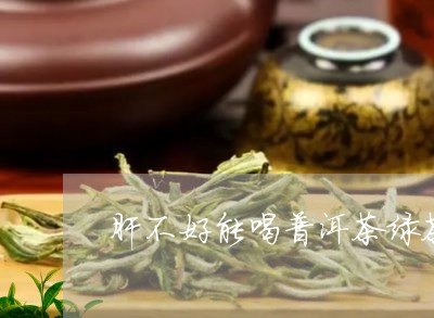 肝不好能喝普洱茶绿茶/2023120701693