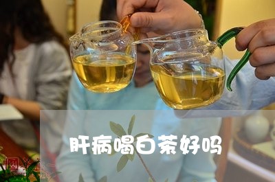 肝病喝白茶好吗/2023061089483