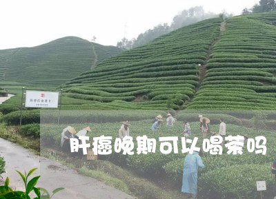 肝癌晚期可以喝茶吗/2023042123737