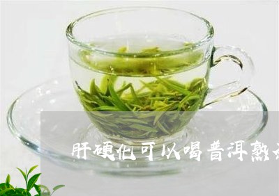 肝硬化可以喝普洱熟茶/2023092499491