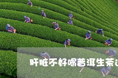 肝脏不好喝普洱生茶还是熟茶/2023052963956