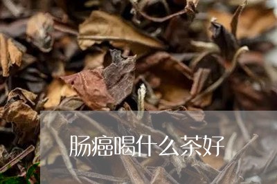 肠癌喝什么茶好/2023042965828