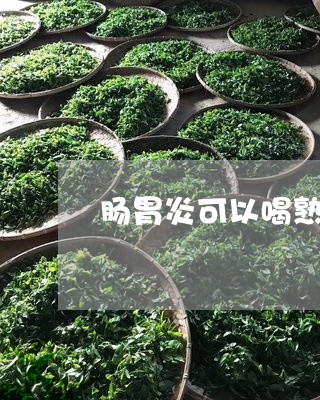 肠胃炎可以喝熟普洱茶/2023092924168