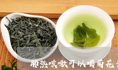 肺热咳嗽可以喝菊花普洱茶吗/2023110270725