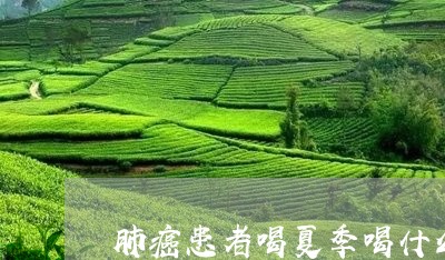 肺癌患者喝夏季喝什么茶好/2023051188482