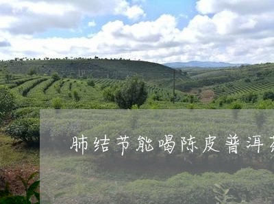 肺结节能喝陈皮普洱茶吗/2023110138360