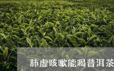 肺虚咳嗽能喝普洱茶吗/2023092994060