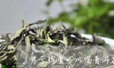 肾亏脾虚可以喝普洱茶/2023062489284